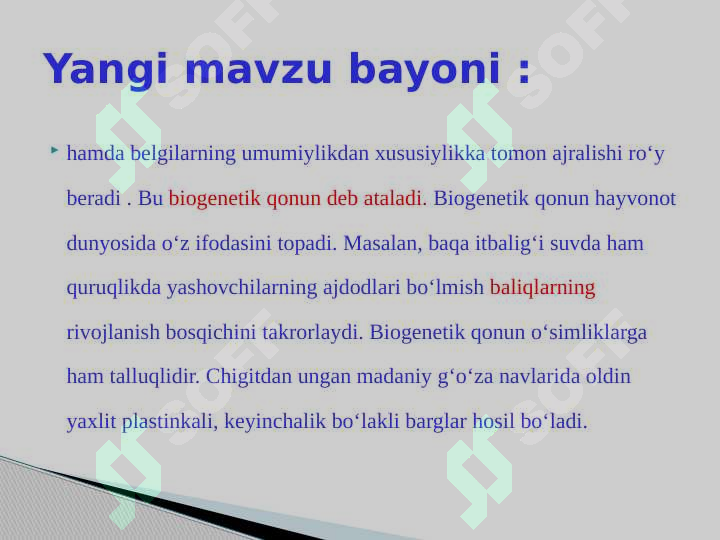 Product slide 7