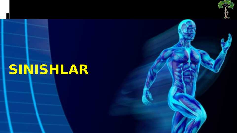 SINISHLAR