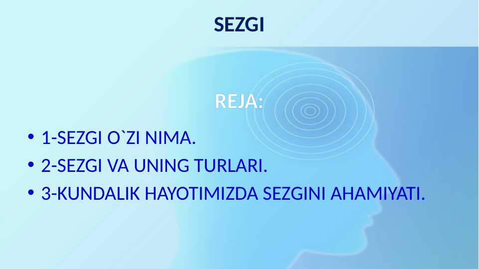 Sezgi