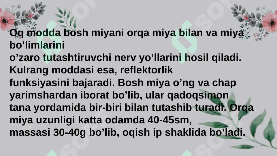 Product slide 8
