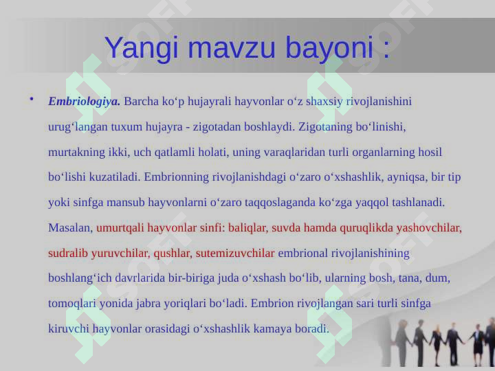 Product slide 7