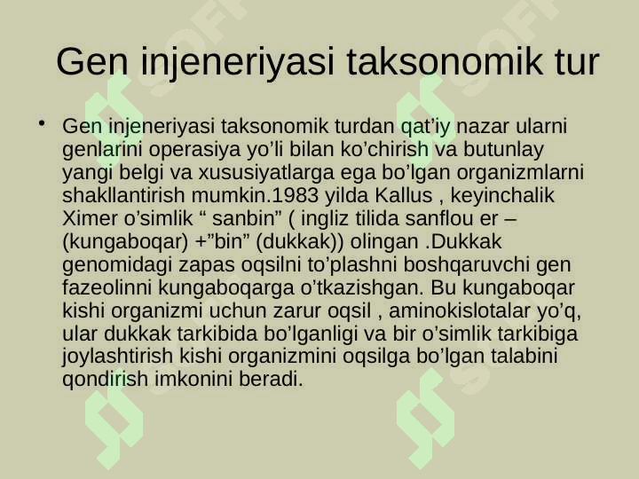 Product slide 6