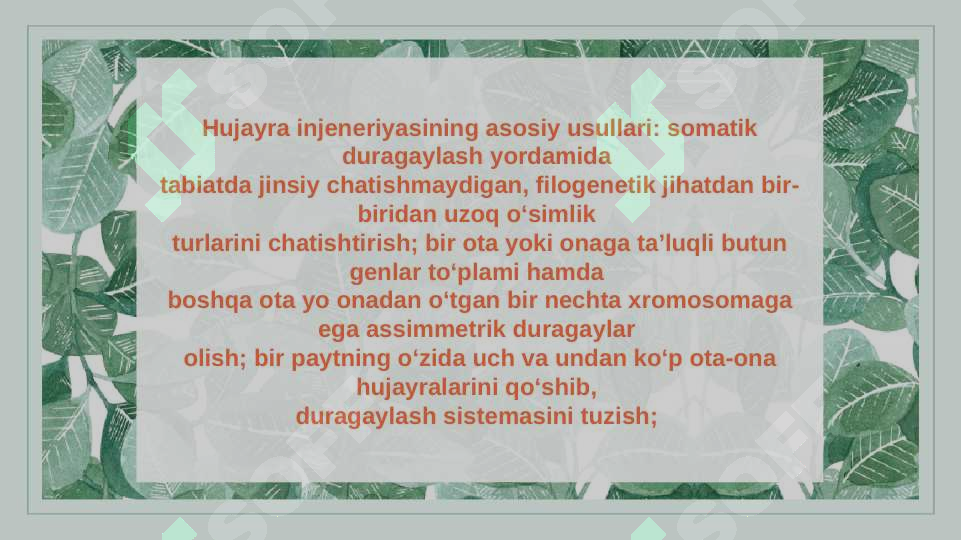 Product slide 7