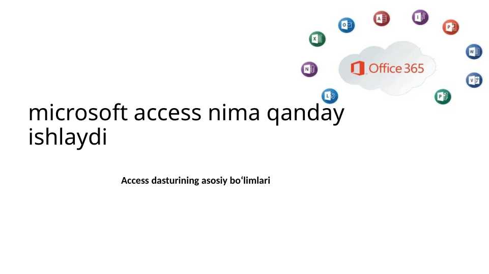 microsoft access nima qanday ishlaydi