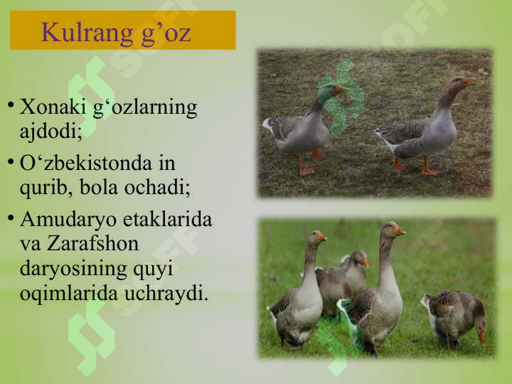 Product slide 6