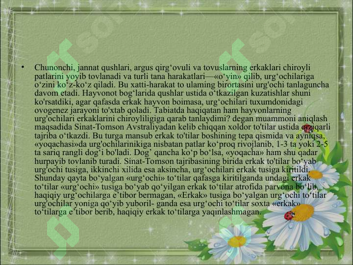 Product slide 8