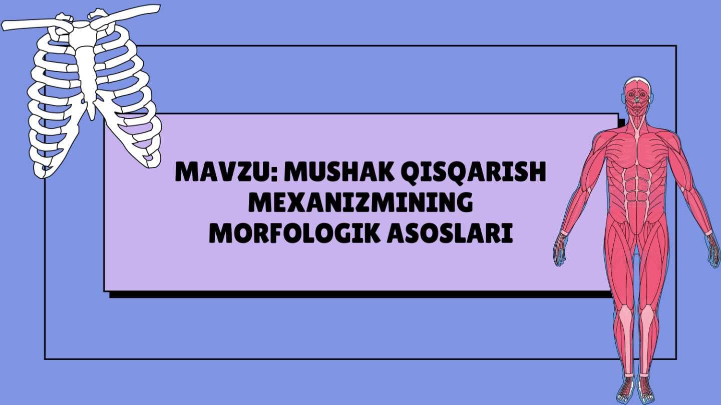 MUSHAK QISQARISH MEXANIZMINING MORFOLOGIK ASOSLARI