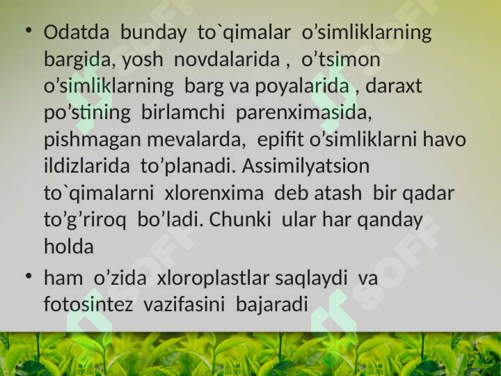 Product slide 6