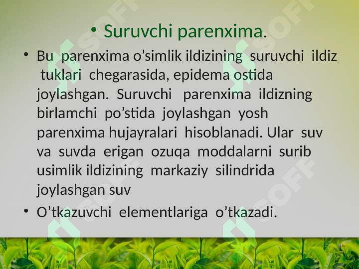 Product slide 8