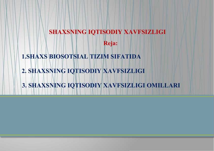 SHAXSNING IQTISODIY XAVFSIZLIGI