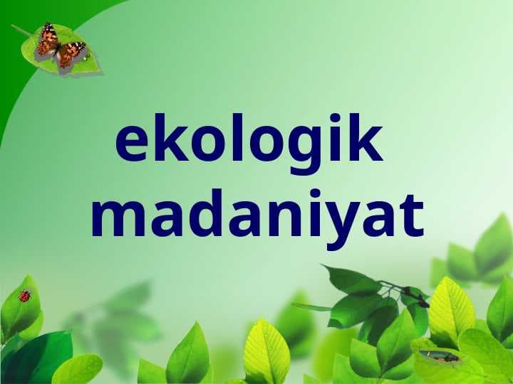 ekologik madaniyat