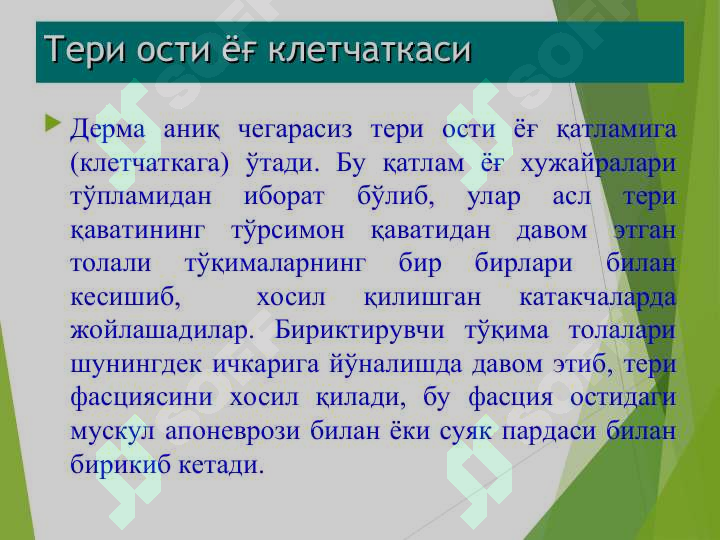 Product slide 8