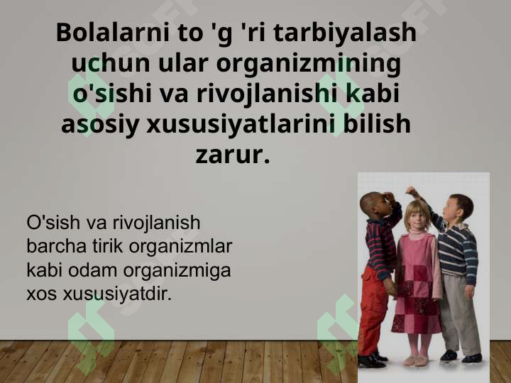Product slide 5
