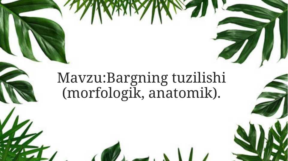Bargning tuzilishi (morfologik, anatomik).