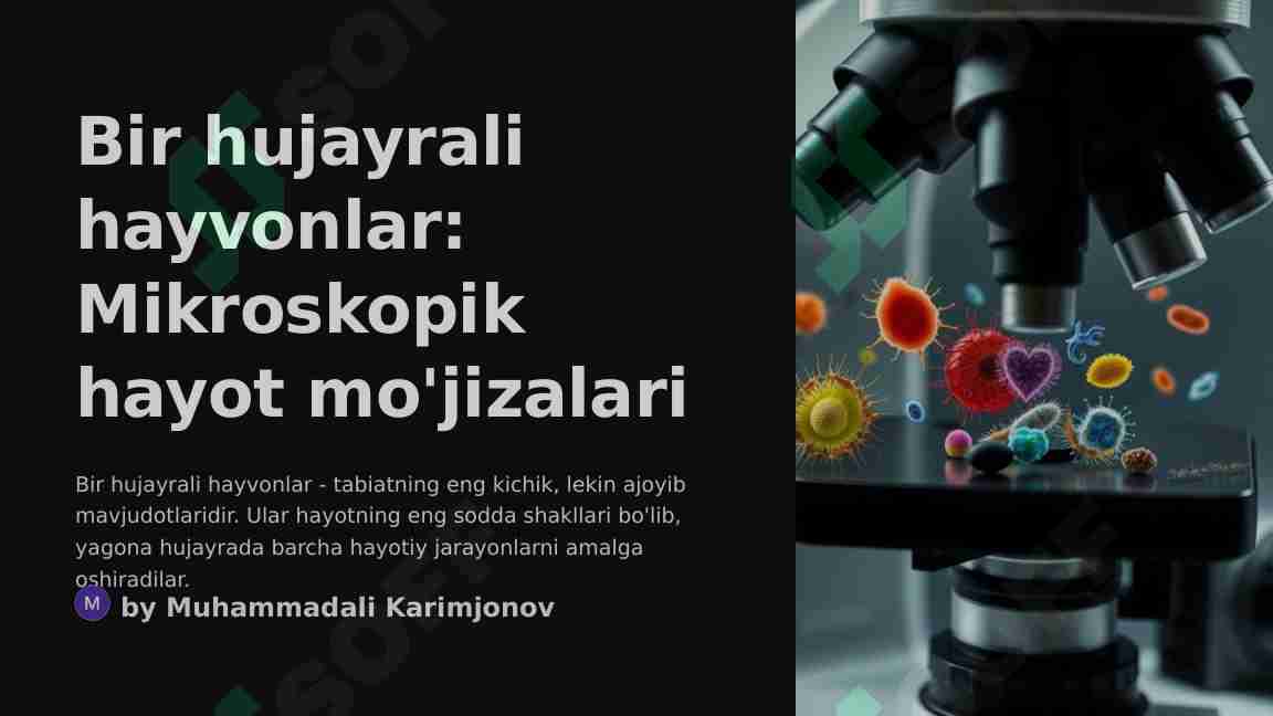 Bir hujayrali hayvonlar
