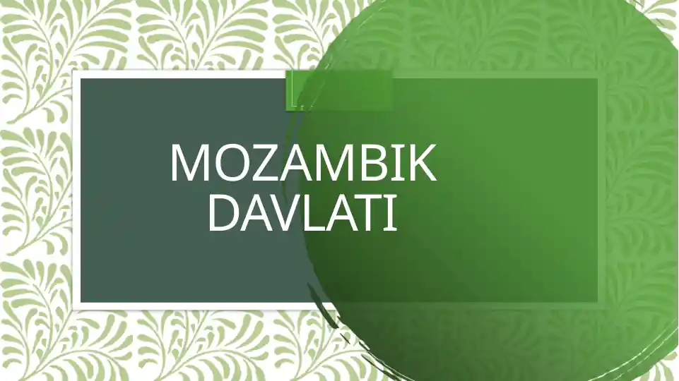 Mozambik Davlati