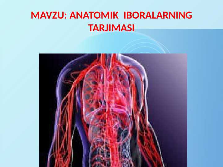 ANATOMIK  IBORALARNING TARJIMASI