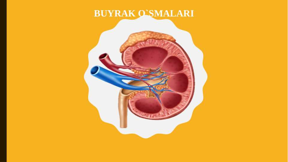 BUYRAK O`SMALARI