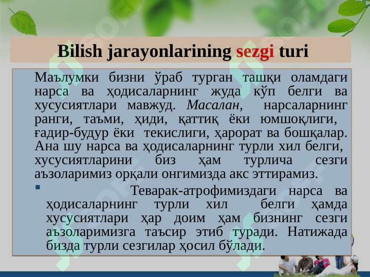 Product slide 5