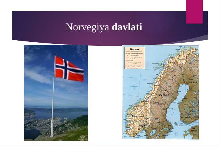 Norvegiya davlati