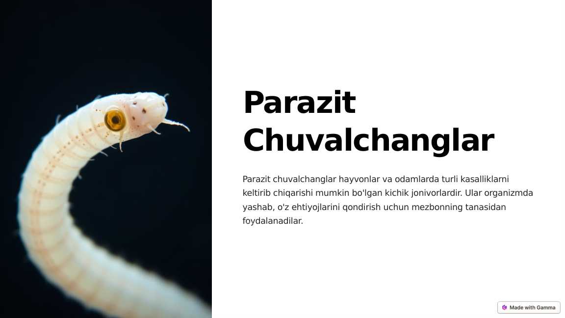 Parazit chuvalchanglar