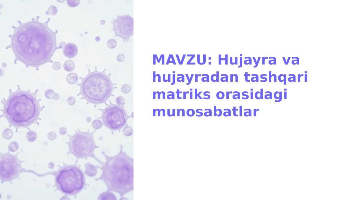 Hujayra va hujayradan tashqari matriks orasidagi munosabatlar