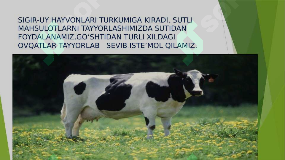 Product slide 5