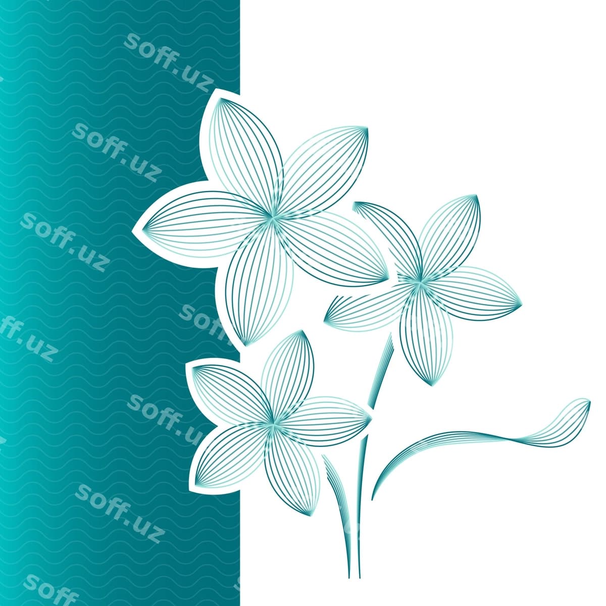 Gul tabrigi ko'k-yashil rangda | Flower greeting card bluegreen