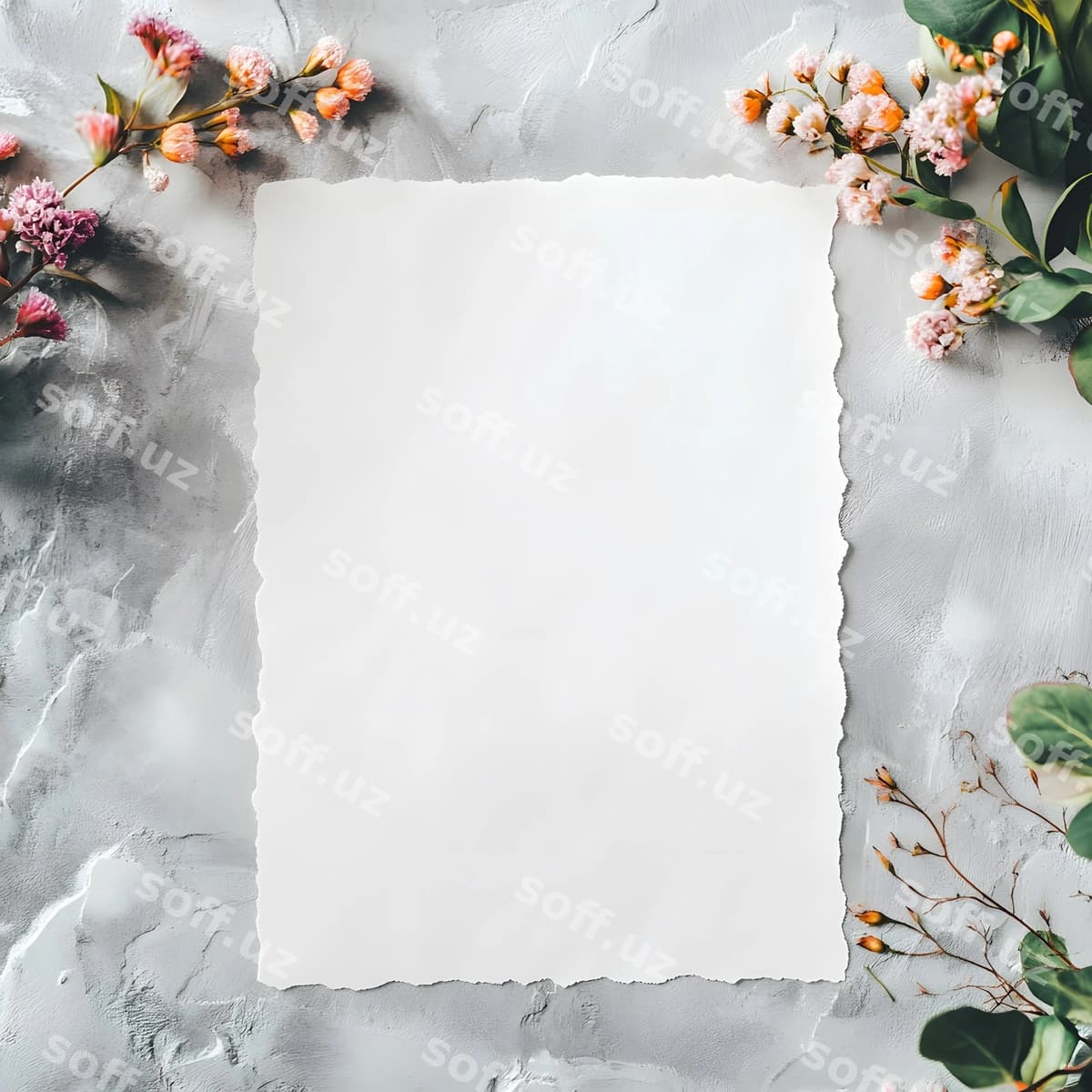 Gullar bilan bo'sh varaq | Flowers with blank paper