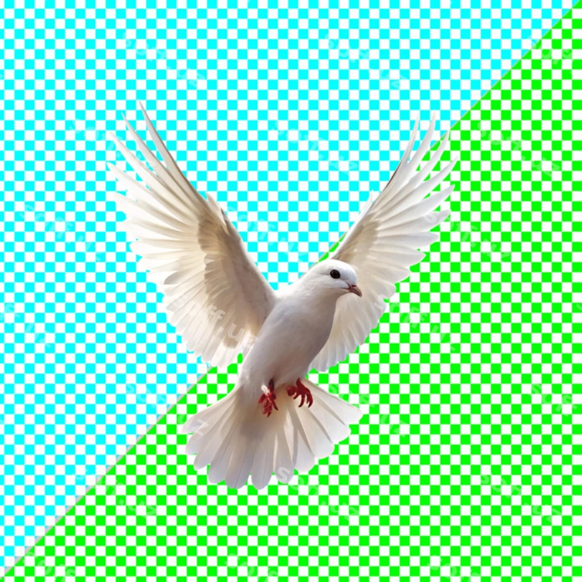 Uçuvchi qush shaffof orqa fon | Flying dove transparent background