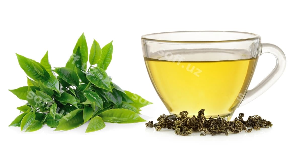 Shisha piyola yashil choy ajraltirilgan | Glass cup green tea isolated