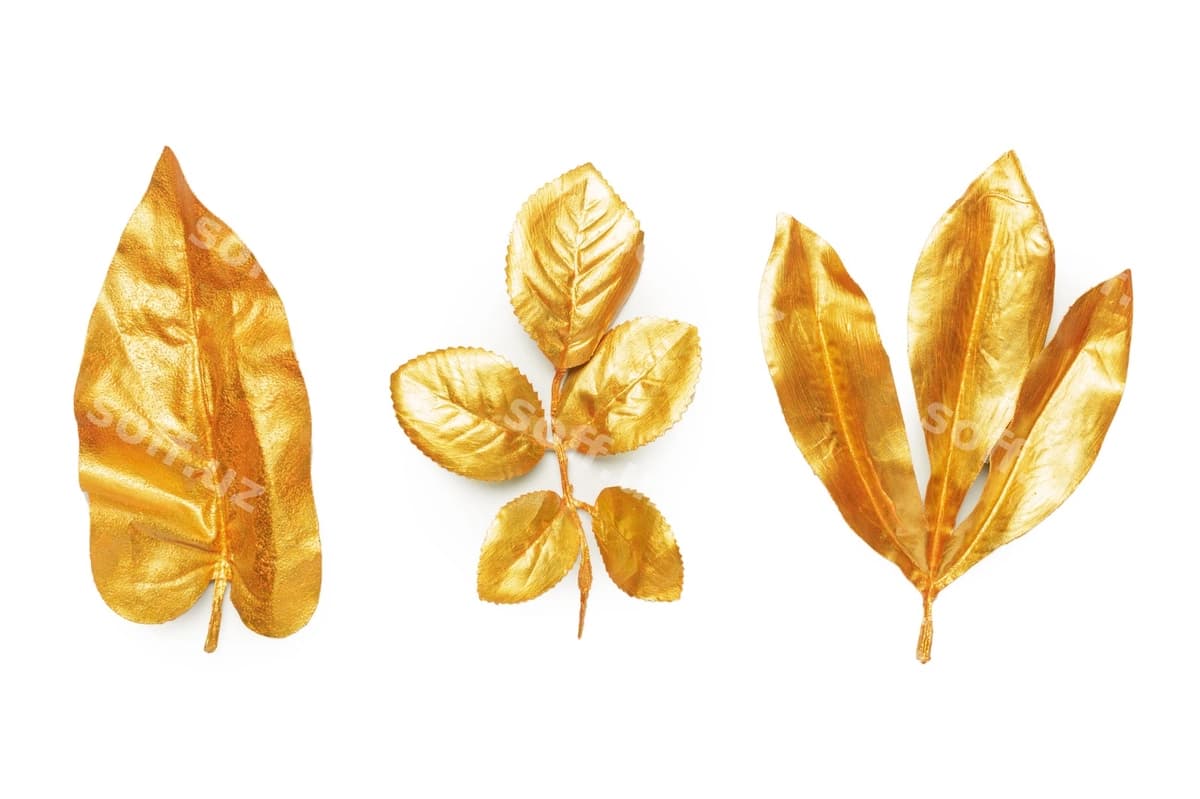 Oltin varaq dizayn elementlari | Golden leaf design elements