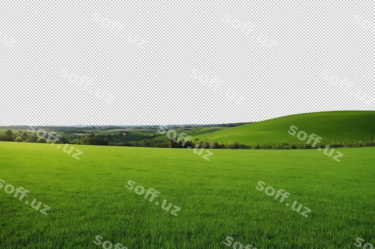 Yashil maydon | Green field
