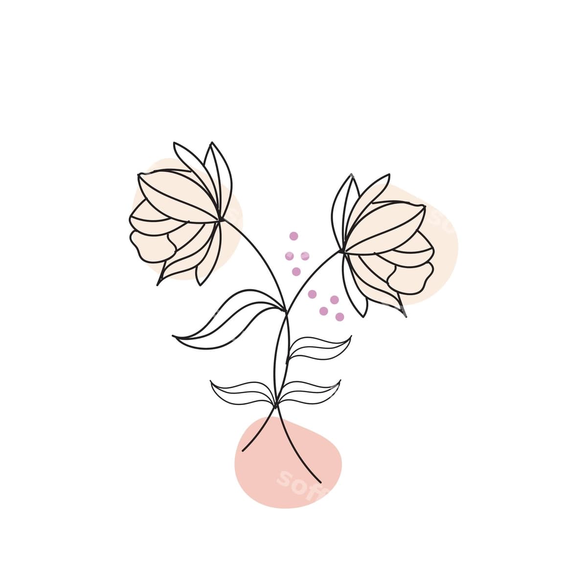 Qozib chizilgan gul ekulligi | Hand drawn flower collection