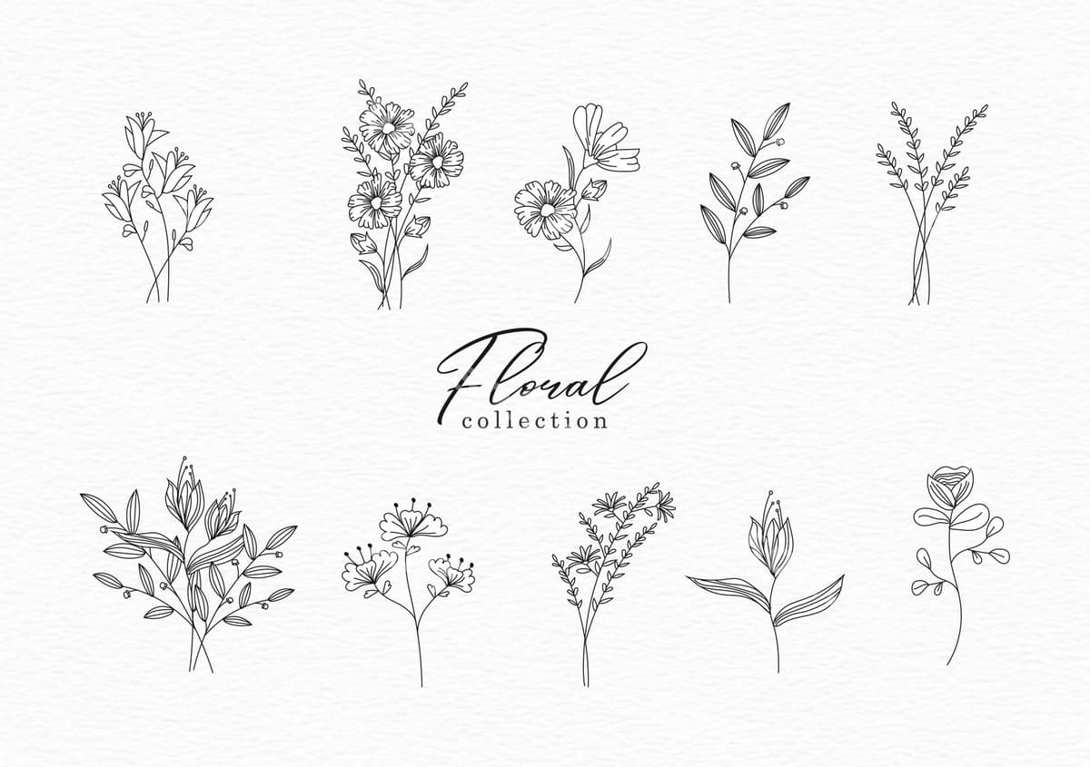 Qo'l bilan chizilgan siluet gulli to'plam | Hand drawn outline floral collection