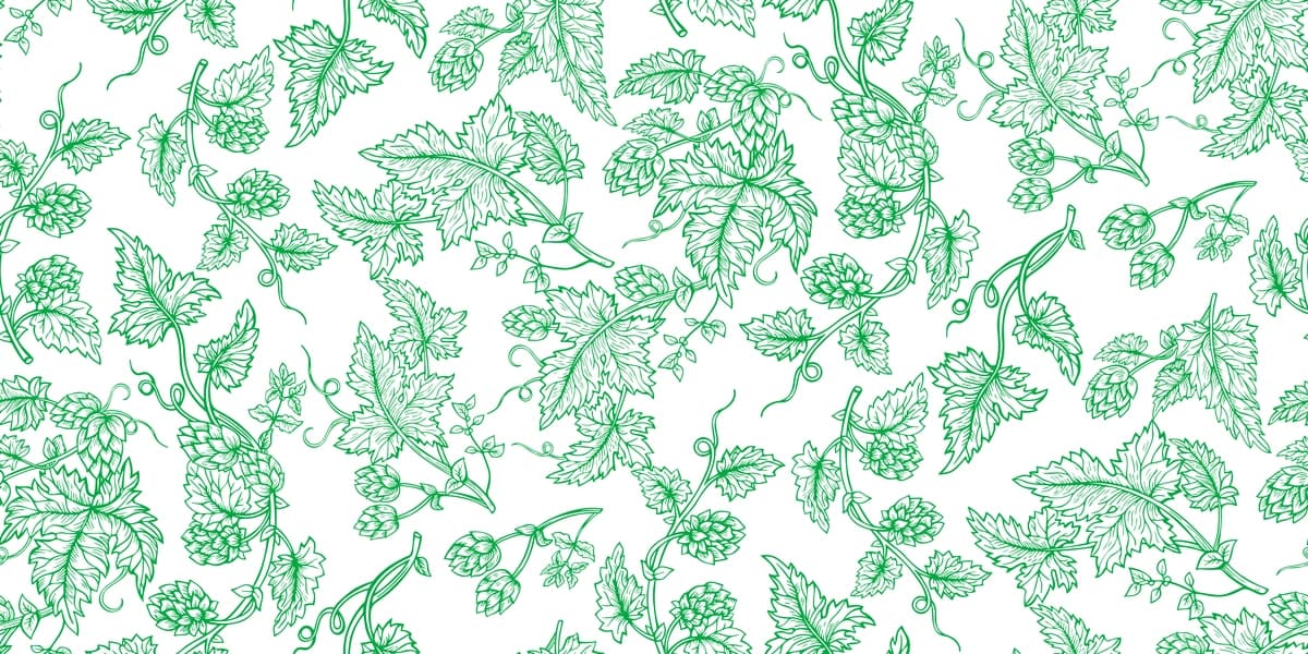 Hop o'simlik filiali qo'lda chizilgan yashil eskiz to'plami hops barglari konuslari bilan | Hop plant branch hand drawn green sketch set hops with leaves cones