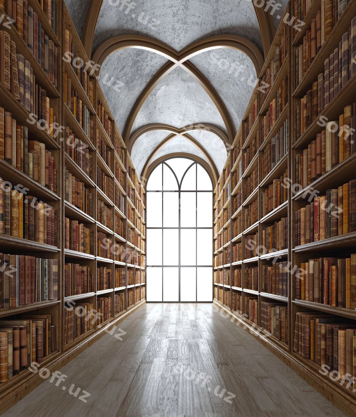 Kutubxona | Library
