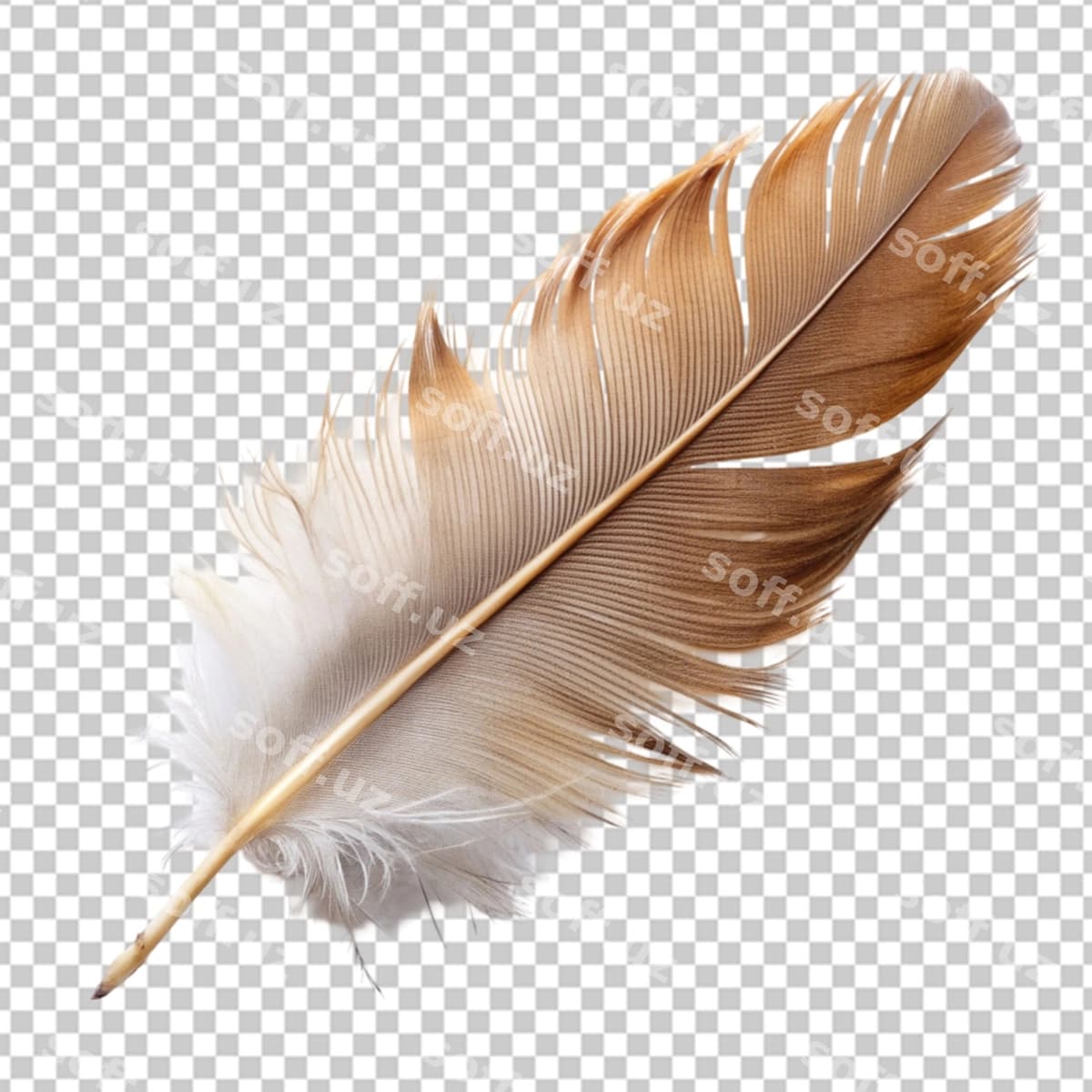Uzun patli shaffof fon | Long feather transparent background