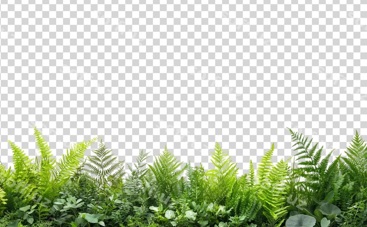 Boyoq to'plam yashil o'simliklar yaproqlari | Lush collection green plants leaves