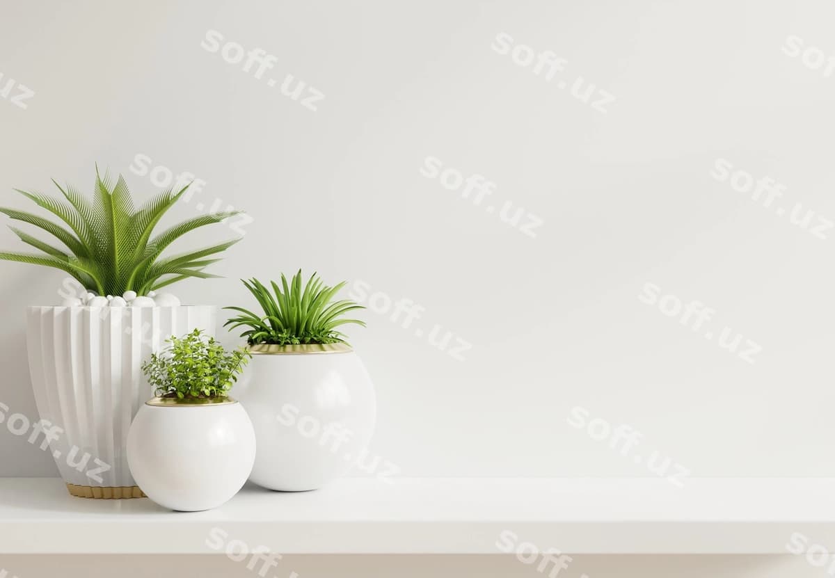 Namuna devor o'simliklar rafli | Mockup wall with plants shelf