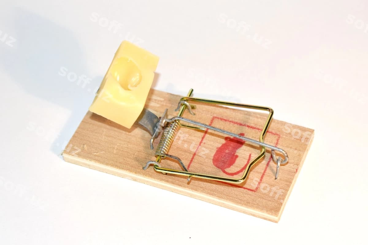 Sichqon tutqichi pishloq bilan xavfli tutqichi | Mousetrap with cheese dangerous trap