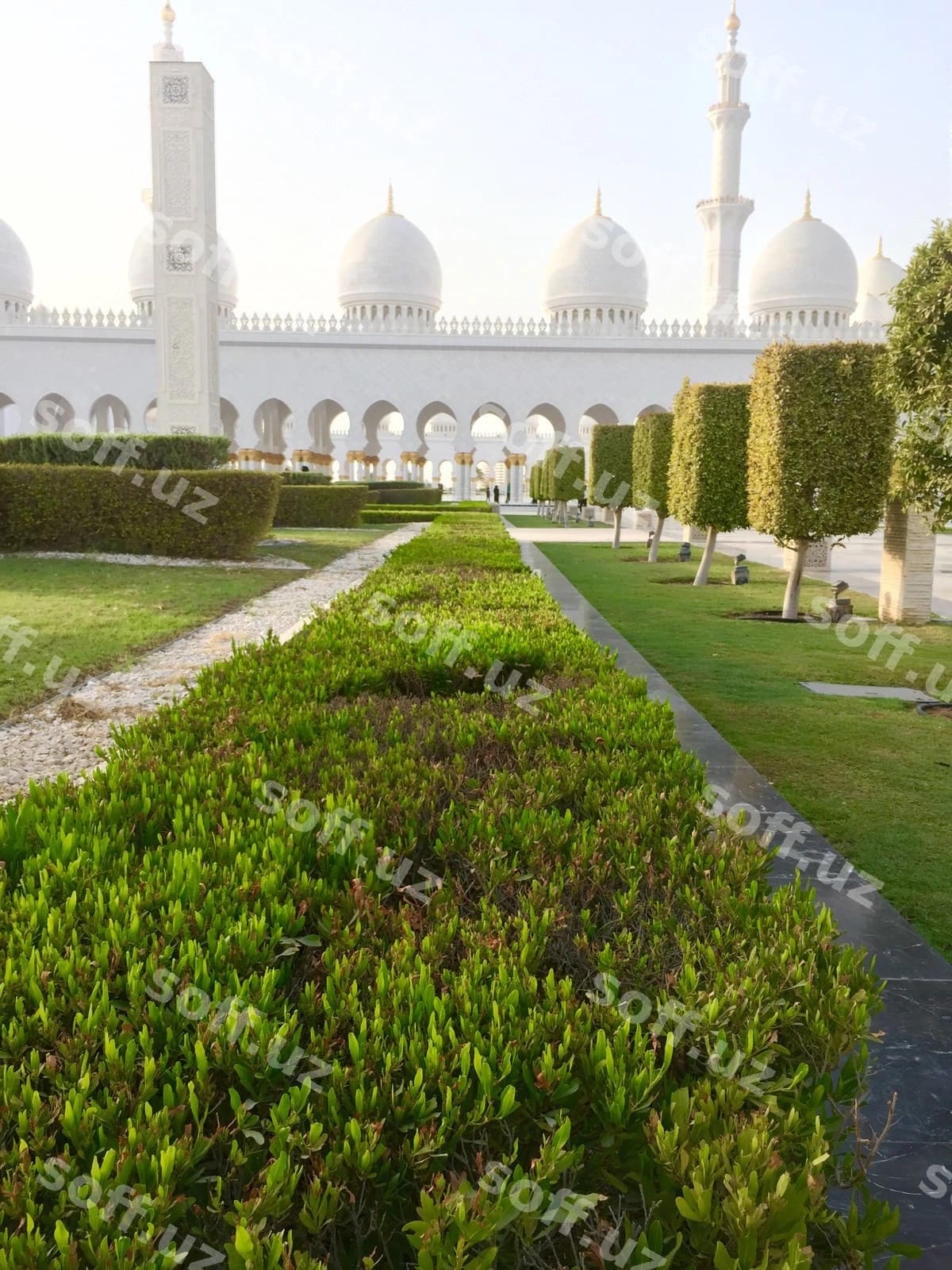 Sheikh Zayed Masjidi Bezatilgan Bog | Ornamental garden sheikh zayed mosque