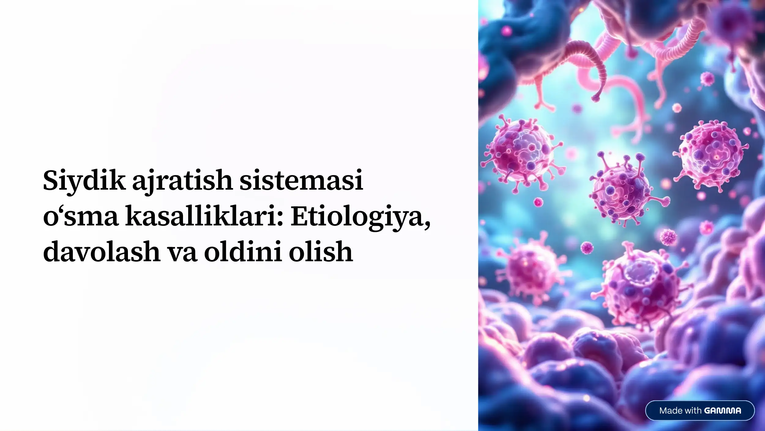 Siydik ajratish sistemasi