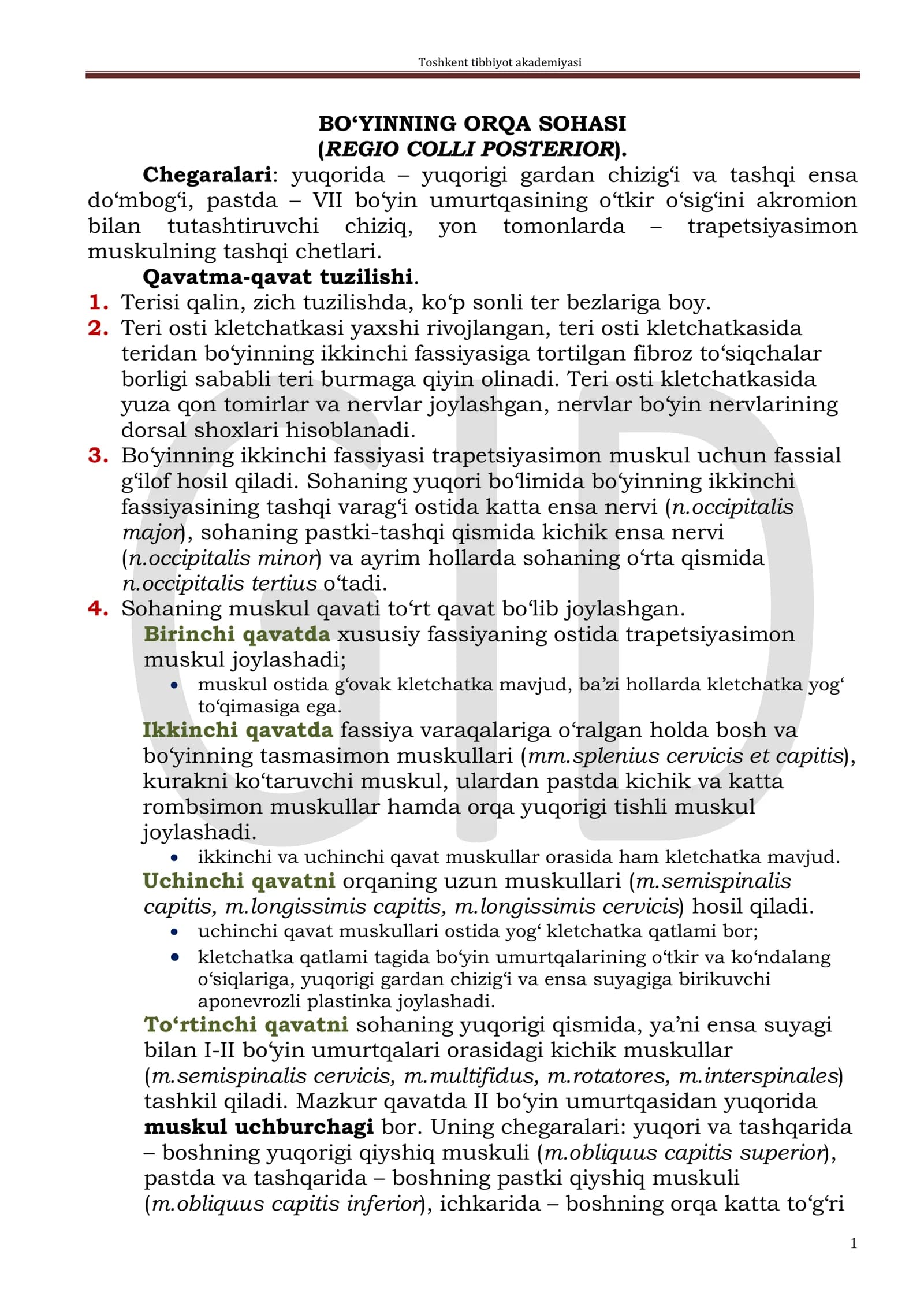 BO‘YINNING ORQA SOHASI (REGIO COLLI POSTERIOR)