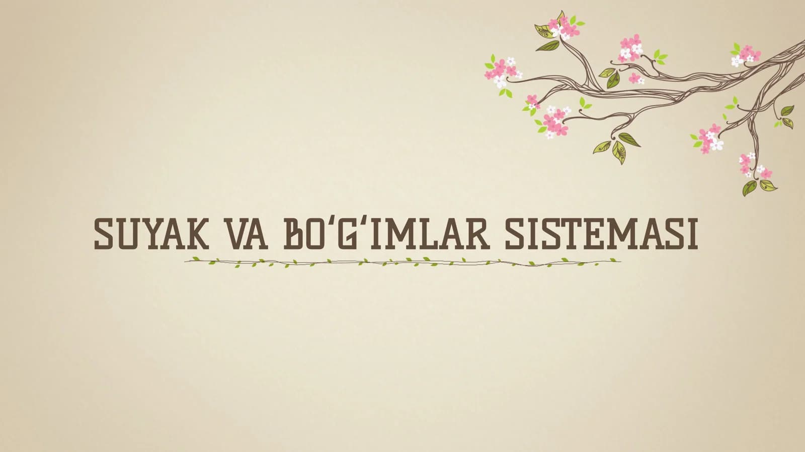 SUYAK VA BOʻGʻIMLAR SISTEMASI