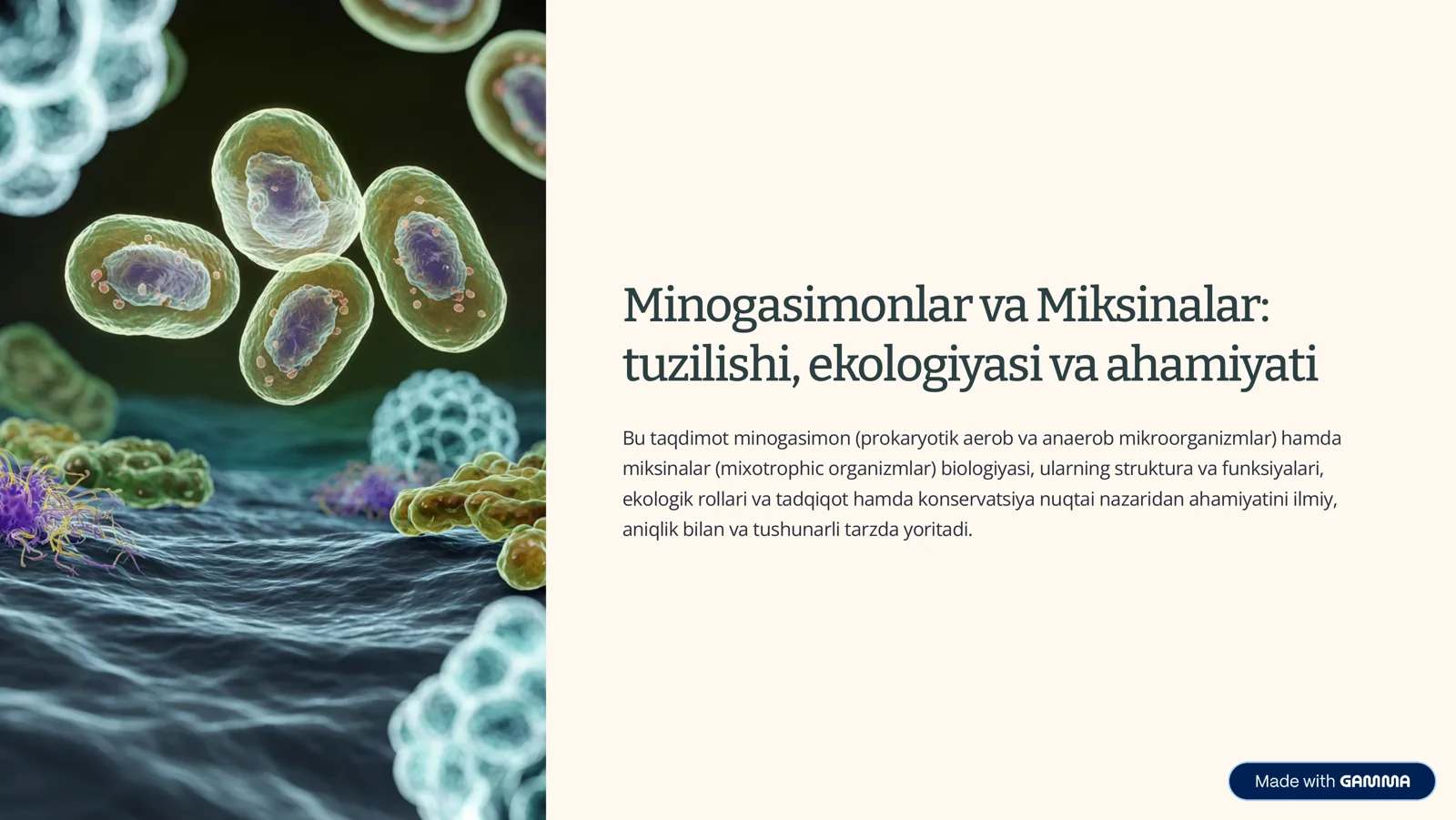 Minogasimonlar va Miksinalar