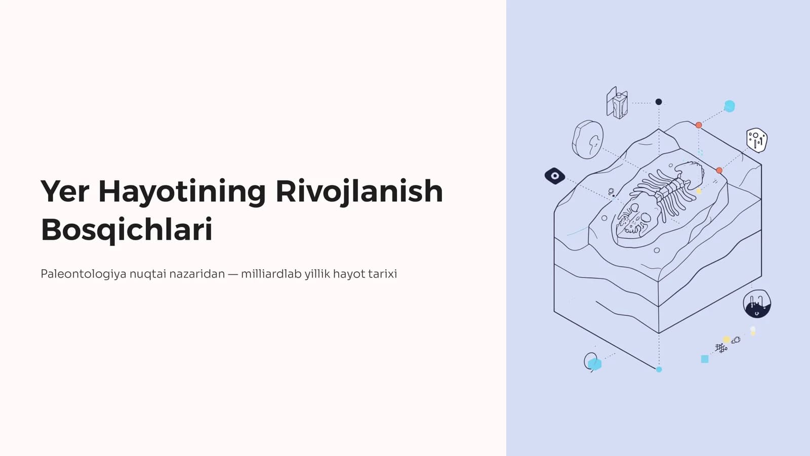 Yer Hayotining Rivojlanish Bosqichlari
