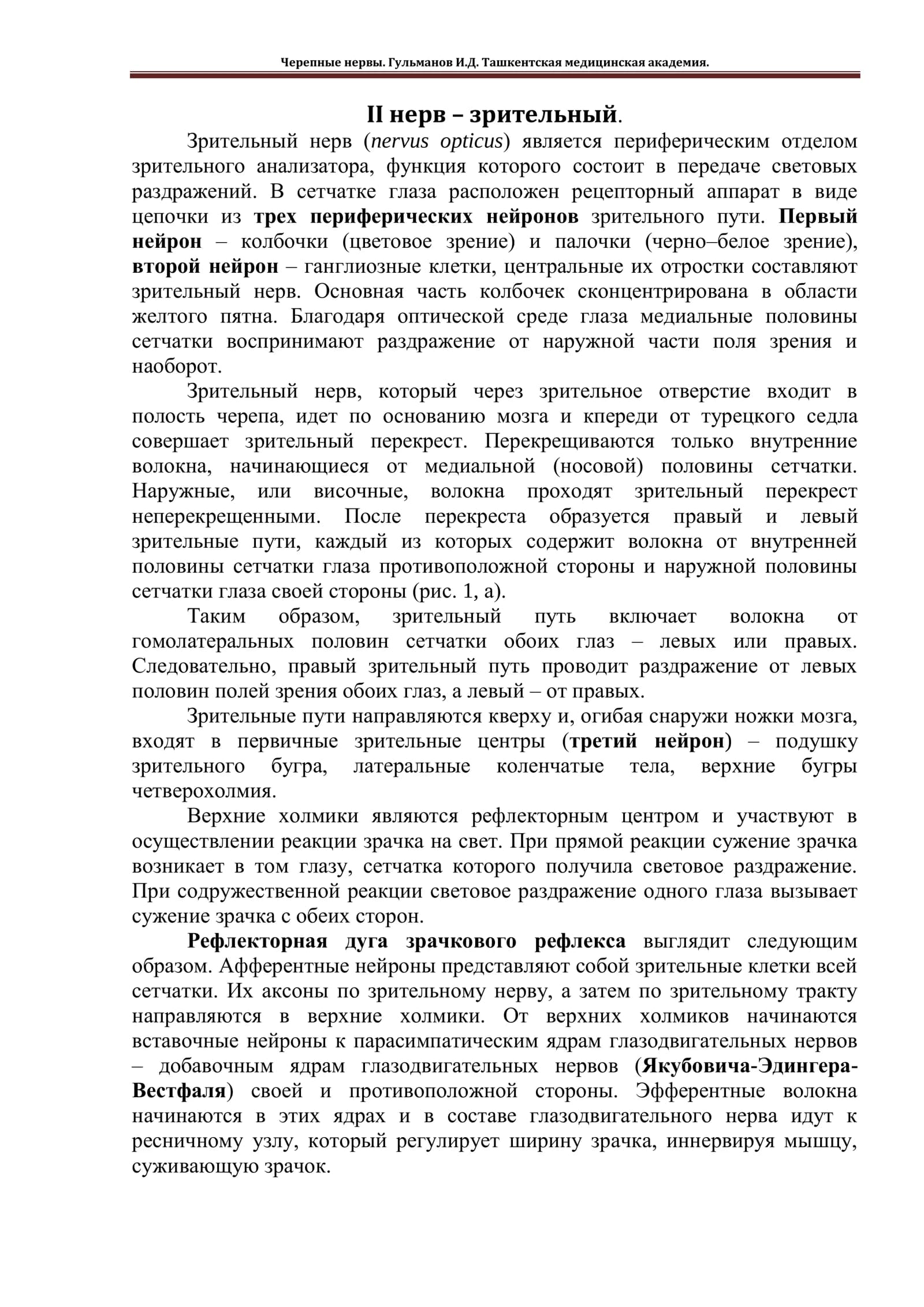 Зрительный нерв