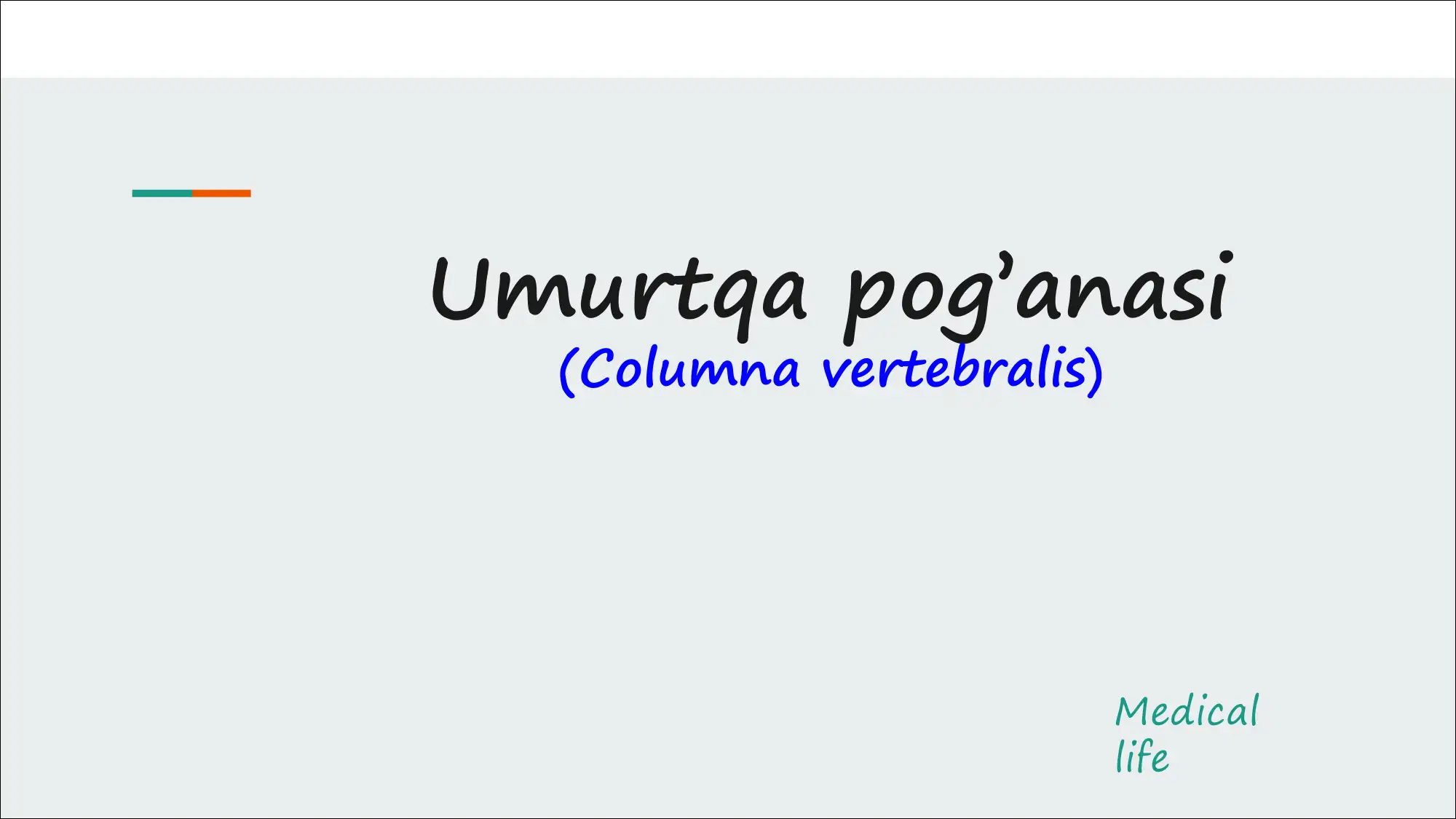 Umurtqa pog’anasi