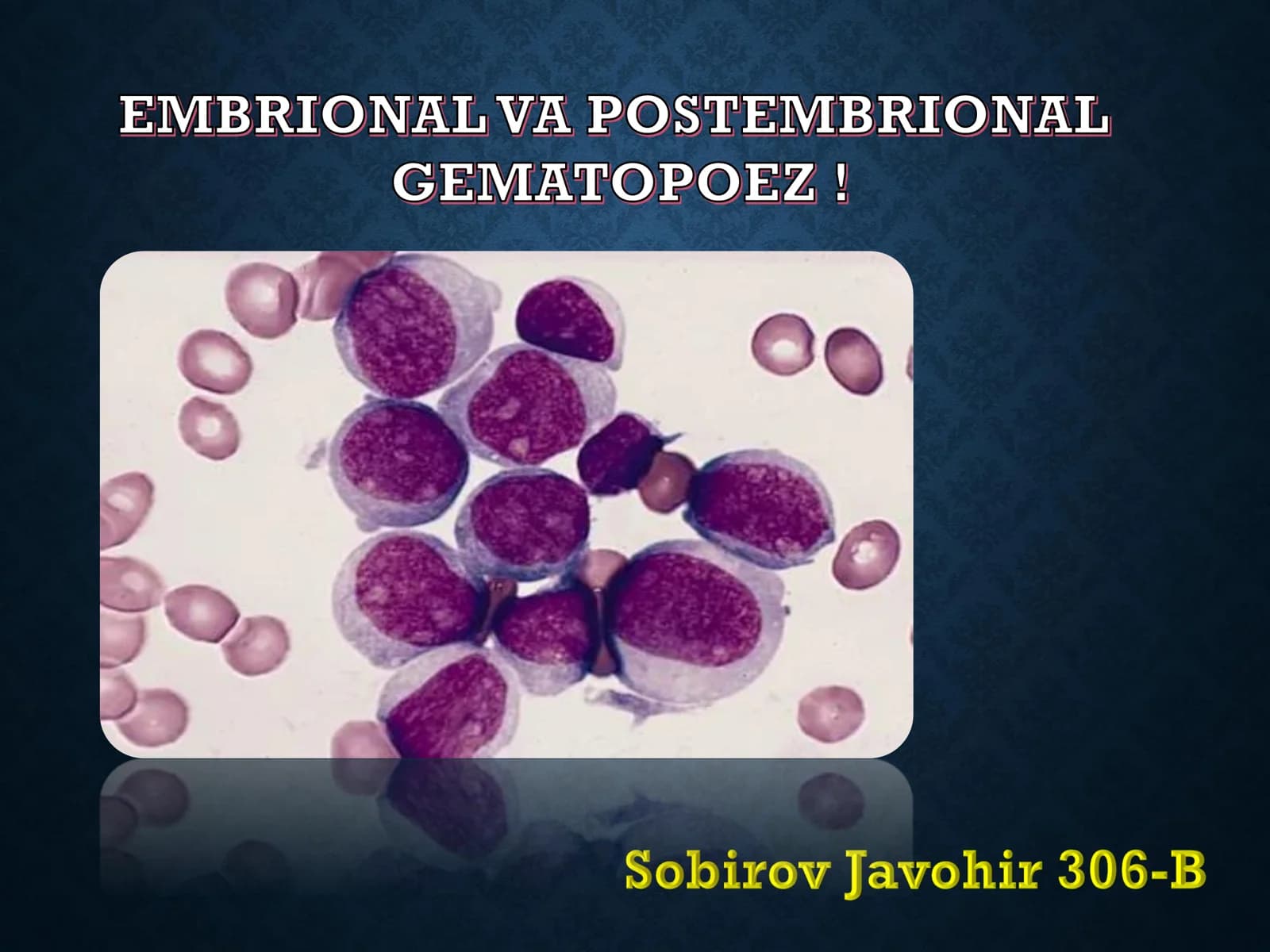 EMBRIONAL VA POSTEMBRIONAL GEMATOPOEZ